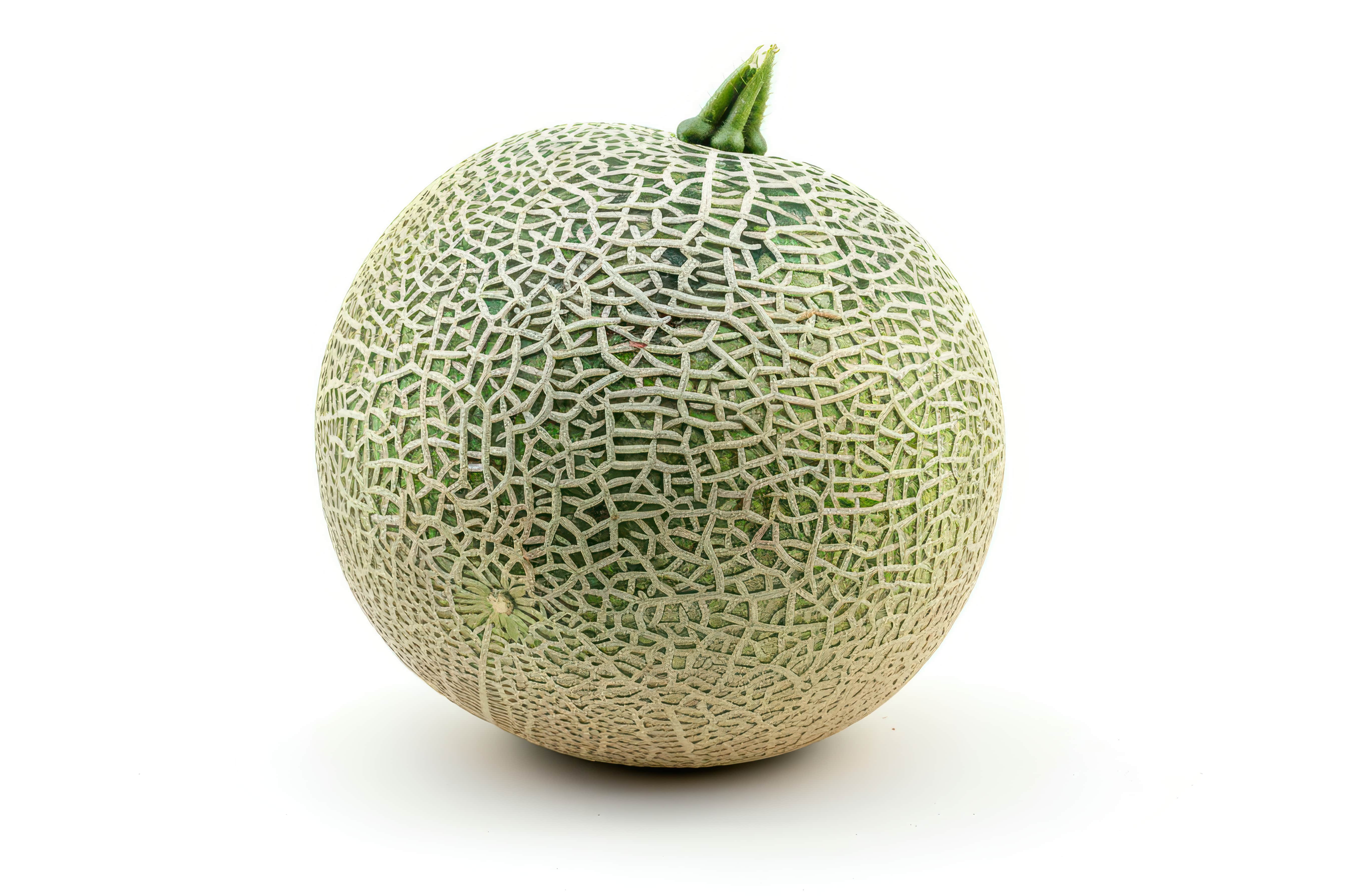 category img